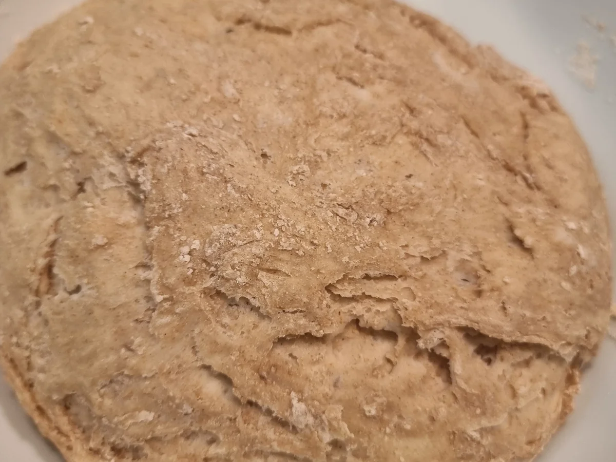 Rezept: No-Knead-Brötchen Bild Nr. 16463 No-Knead-Brötchen - Rezept - Bild Nr. 16463