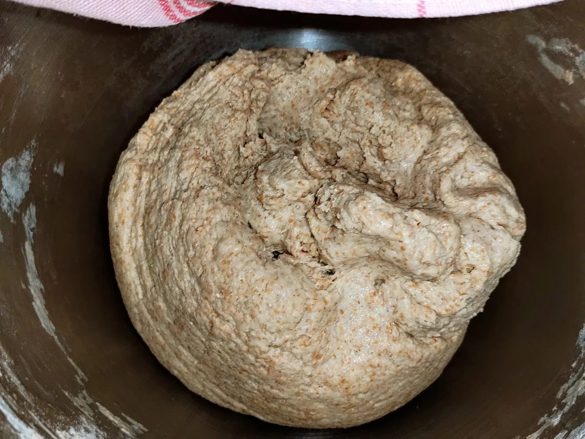 Rezept: Ur-Dinkel Sauerteigbrot Bild Nr. 16463 Ur-Dinkel Sauerteigbrot - Rezept - Bild Nr. 16463