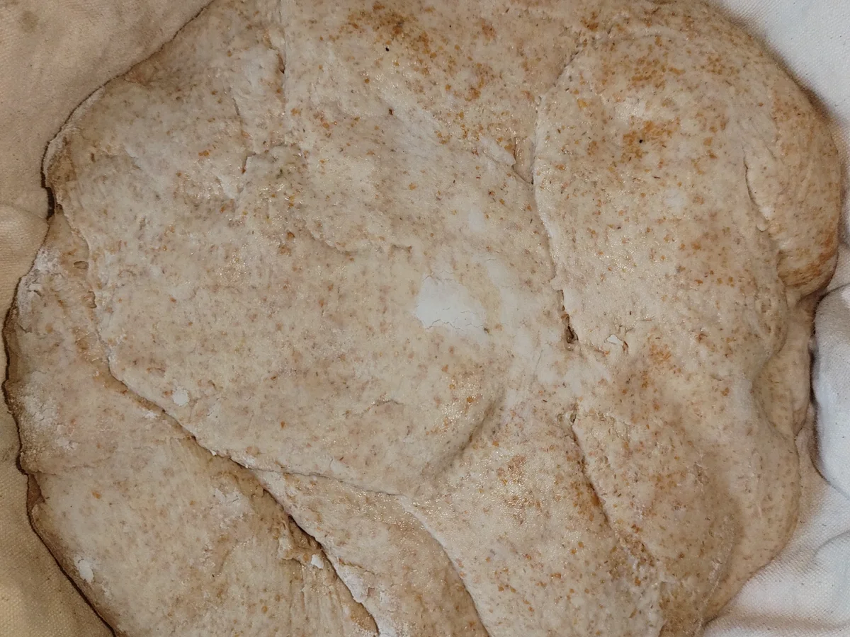 Rezept: Ur-Dinkel Sauerteigbrot Bild Nr. 16464 Ur-Dinkel Sauerteigbrot - Rezept - Bild Nr. 16464