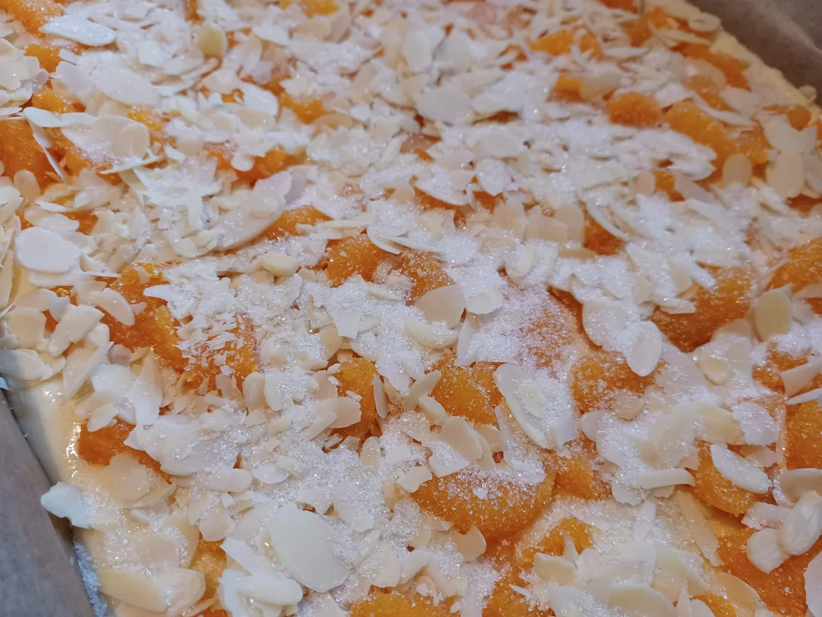 Mandarinenkuchen - Rezept - Bild Nr. 16478