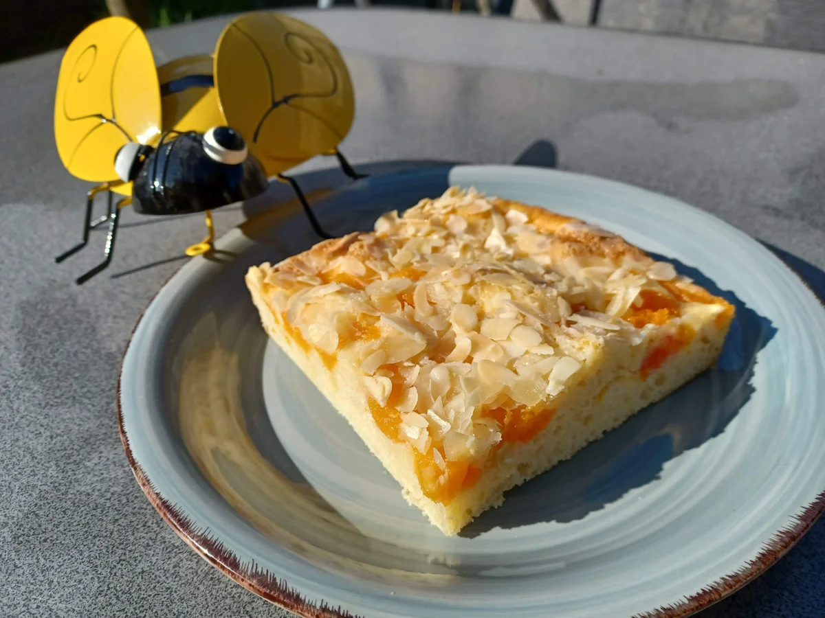 Mandarinenkuchen - Rezept - Bild Nr. 16480