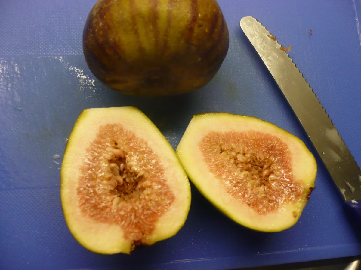 Bacon - Chip mit Ziegenkäse und Feige - Rezept - Bild Nr. 8