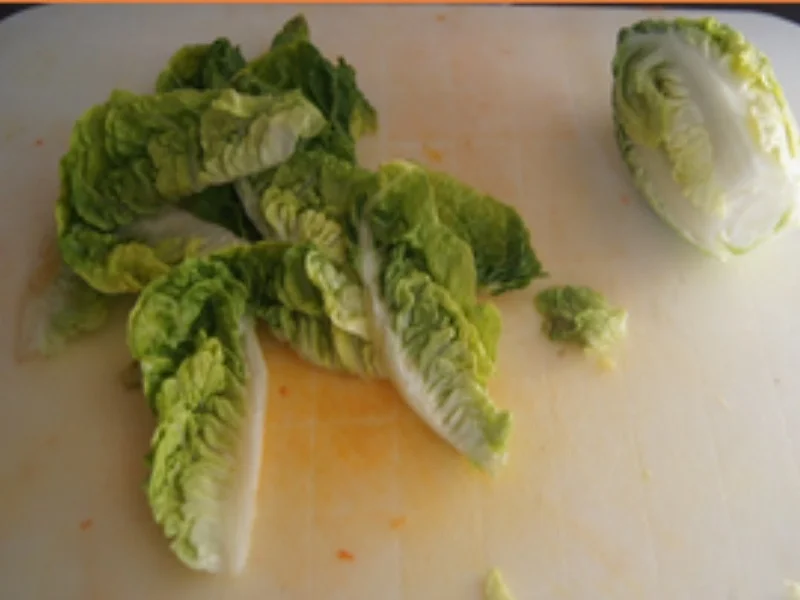 Rezept: Hähnchenkeule mit Pommes Frites und gemischten Salat Bild Nr. 16477 Hähnchenkeule mit Pommes Frites und gemischten Salat - Rezept - Bild Nr. 16477