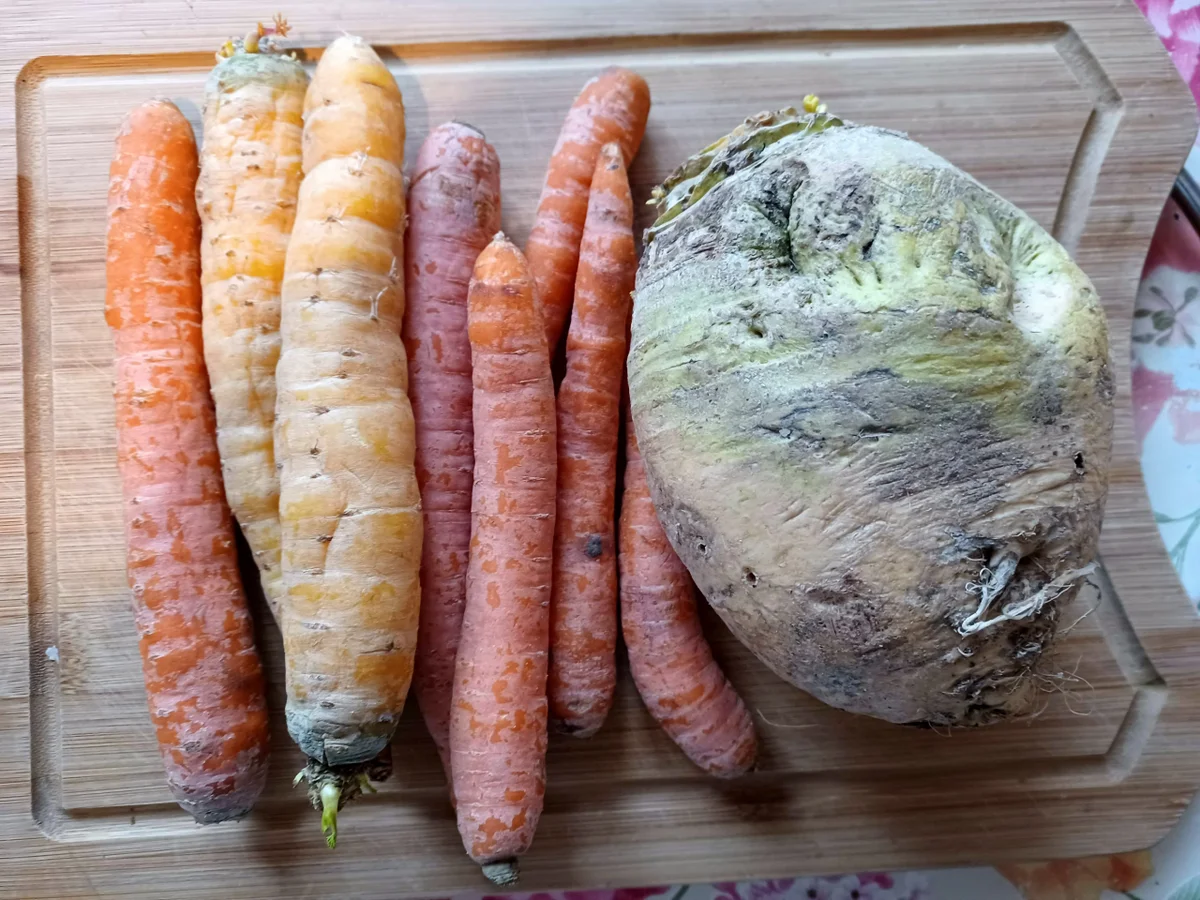 Rezept: Kohlrübengemüse mit Möhren Bild Nr. 16475 Kohlrübengemüse mit Möhren - Rezept - Bild Nr. 16475