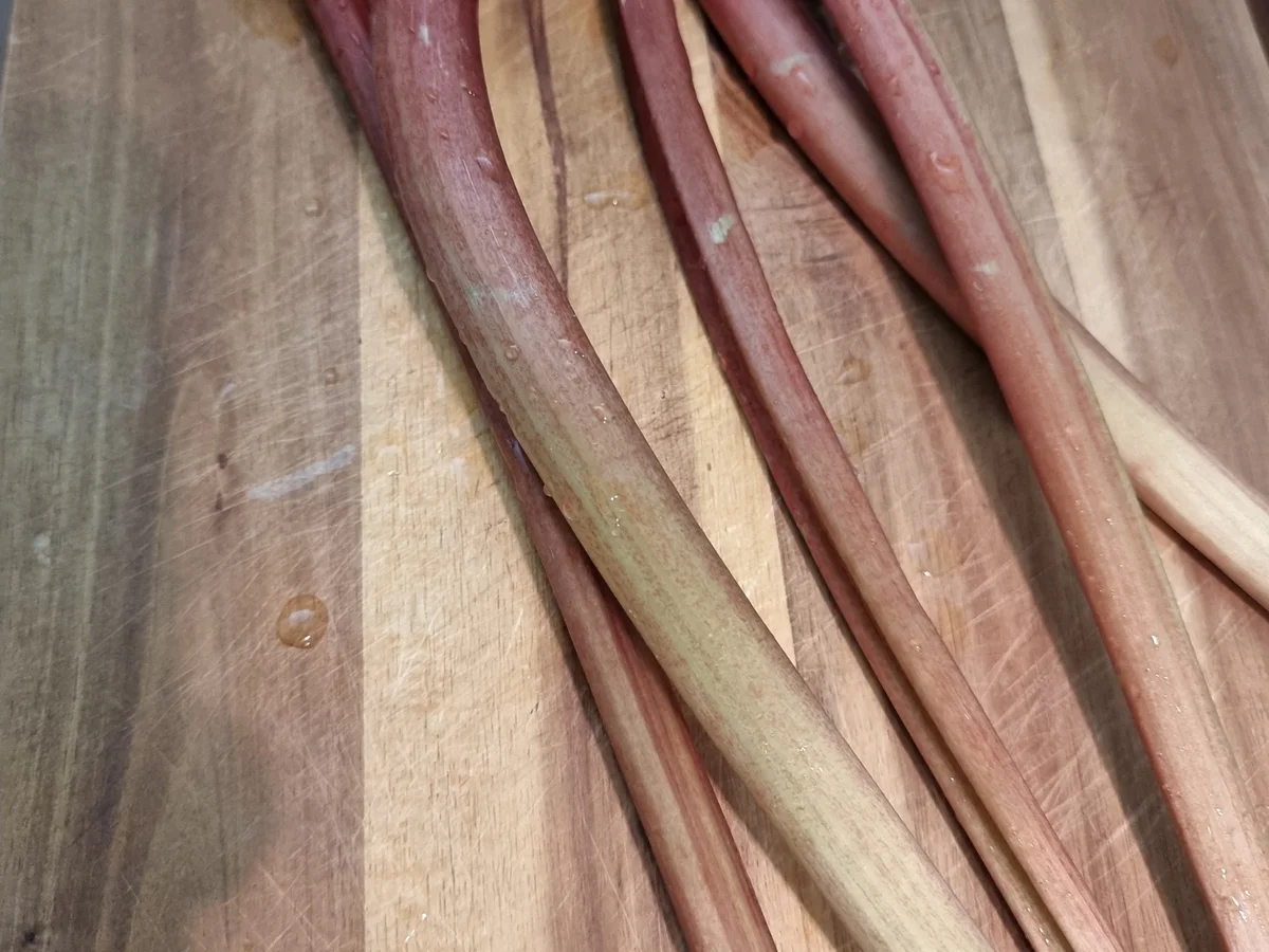 Rhabarber -Tarteletts - Rezept - Bild Nr. 16502