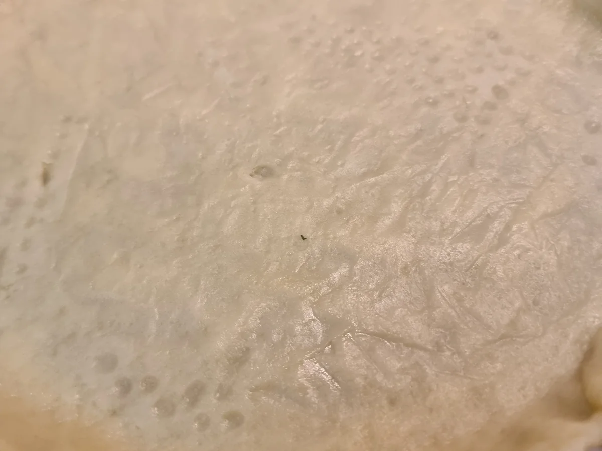 Zitronen-Tarte mit Baiser - Rezept - Bild Nr. 16512