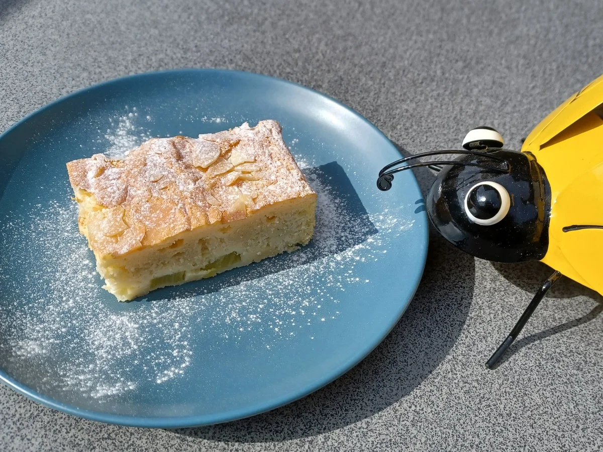 Rhabarberkuchen - Rezept - Bild Nr. 16519