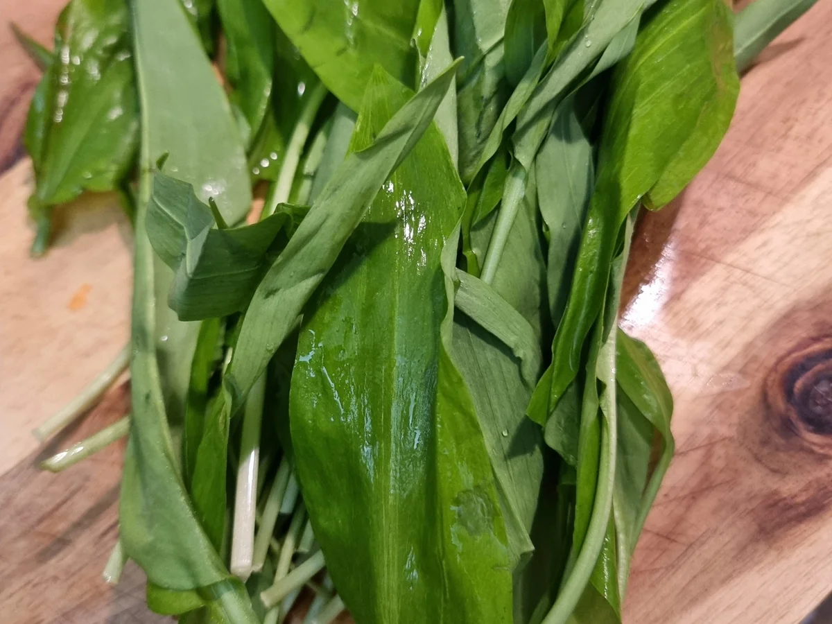 Kartoffel-Bärlauch-Suppe mit Süßkartoffel-Croutons - Rezept - Bild Nr. 16518