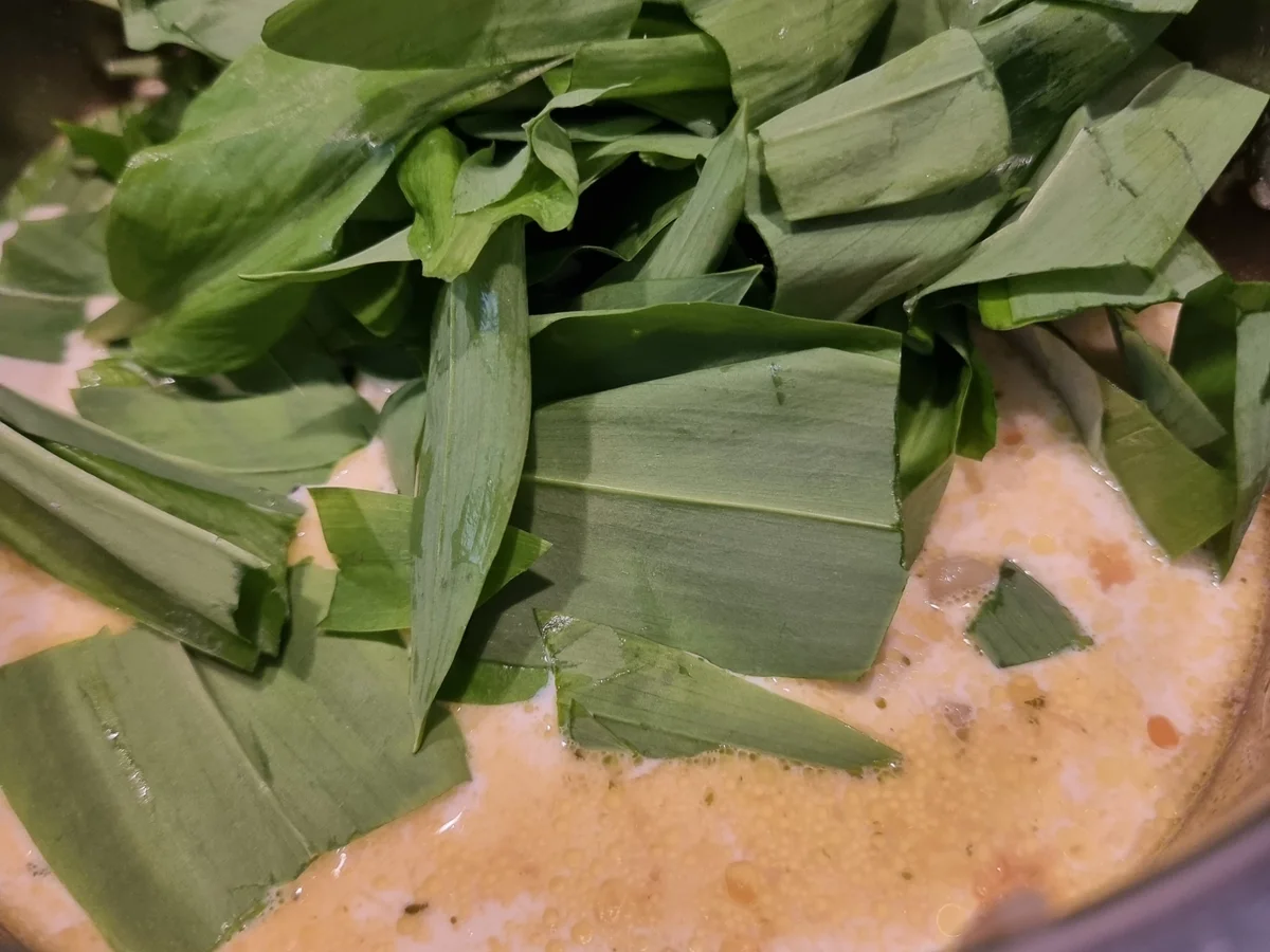 Kartoffel-Bärlauch-Suppe mit Süßkartoffel-Croutons - Rezept - Bild Nr. 16520