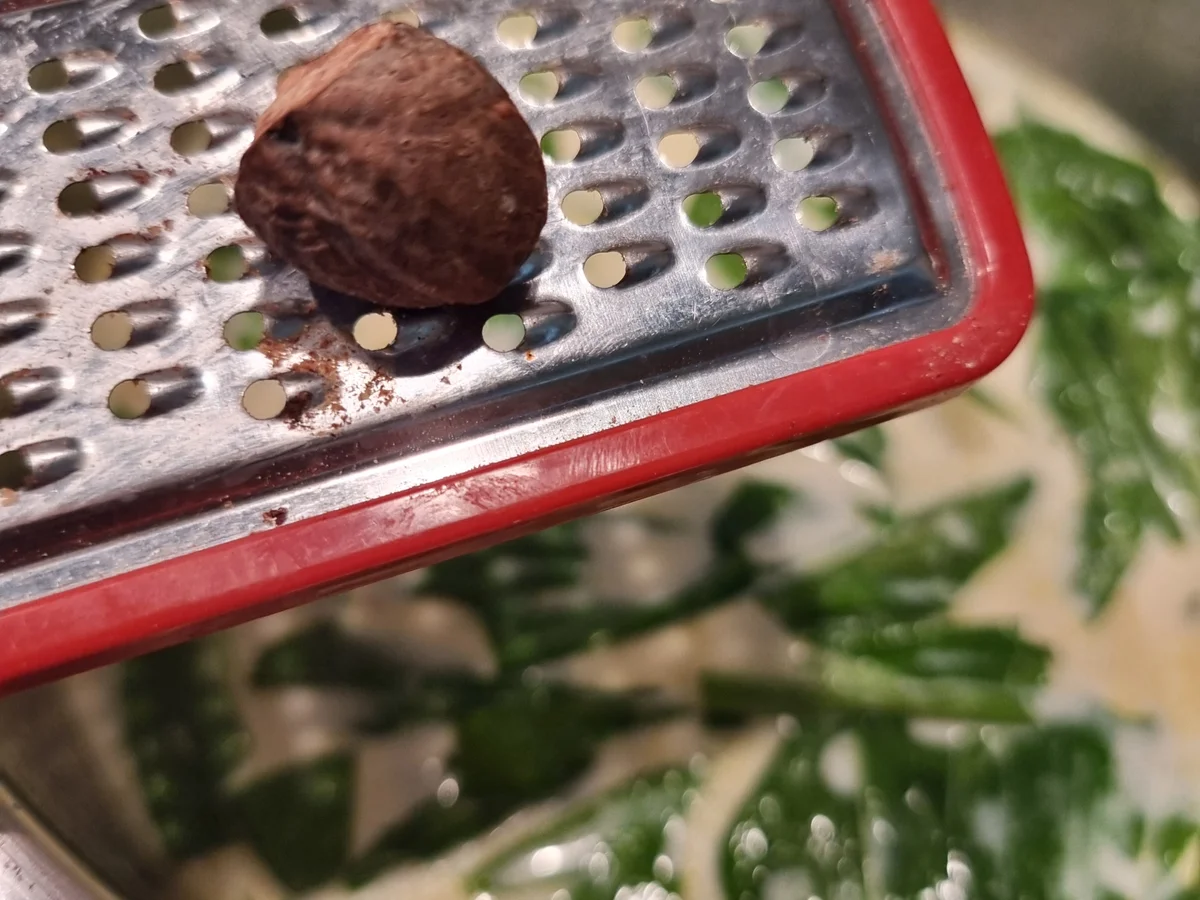 Kartoffel-Bärlauch-Suppe mit Süßkartoffel-Croutons - Rezept - Bild Nr. 16521