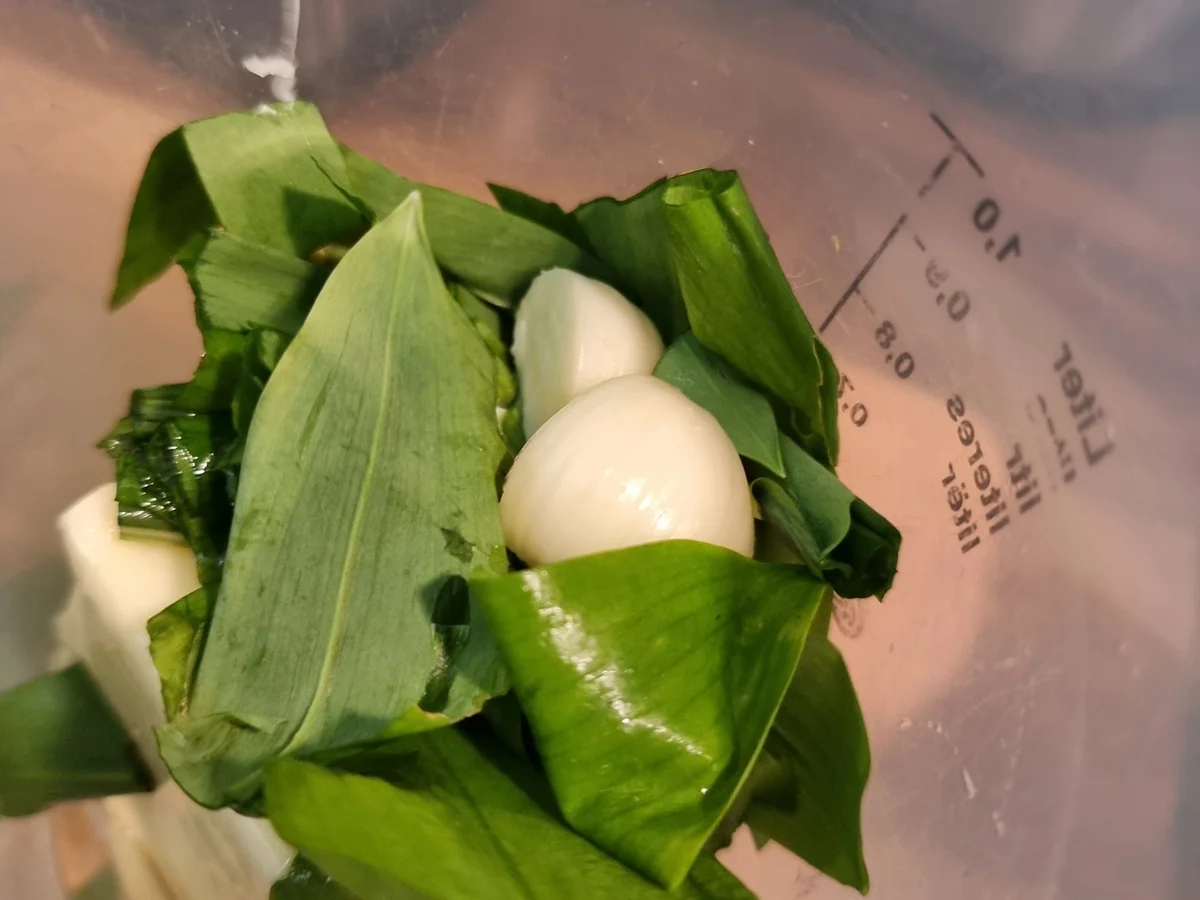 Bärlauchbutter - Rezept - Bild Nr. 16506