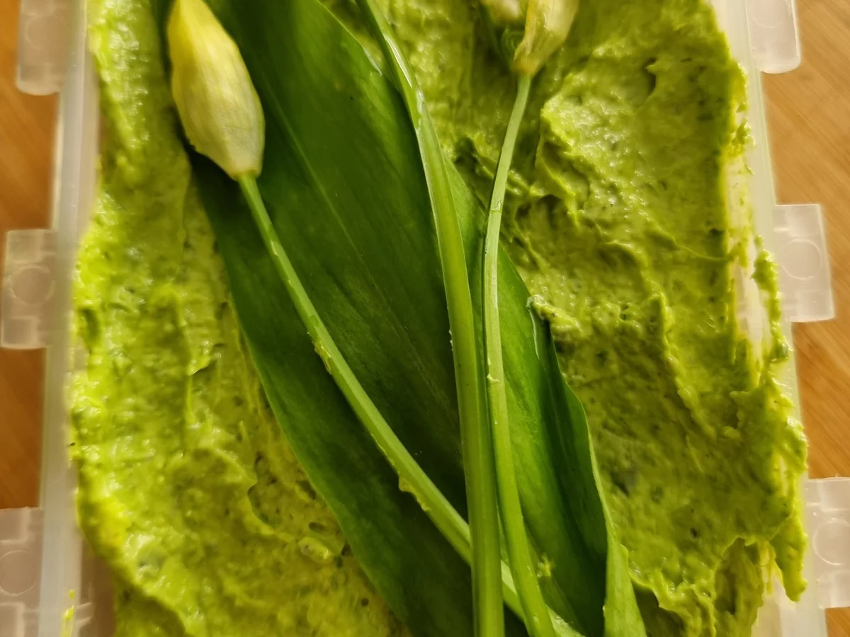 Bärlauchbutter - Rezept - Bild Nr. 16509