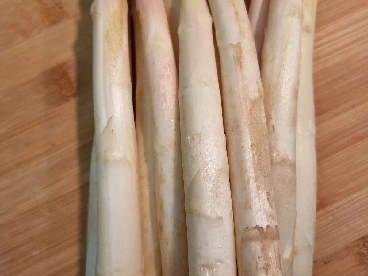 Spargel-Pasta - Rezept - Bild Nr. 16506