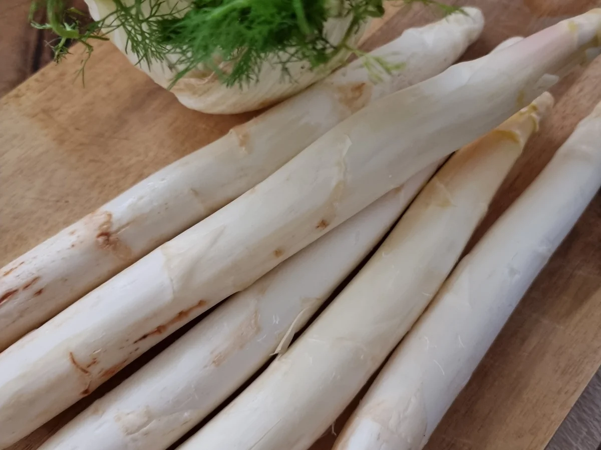 Rezept: Tagliatelle mit Spagel und Fenchel Bild Nr. 16518 Tagliatelle mit Spagel und Fenchel - Rezept - Bild Nr. 16518