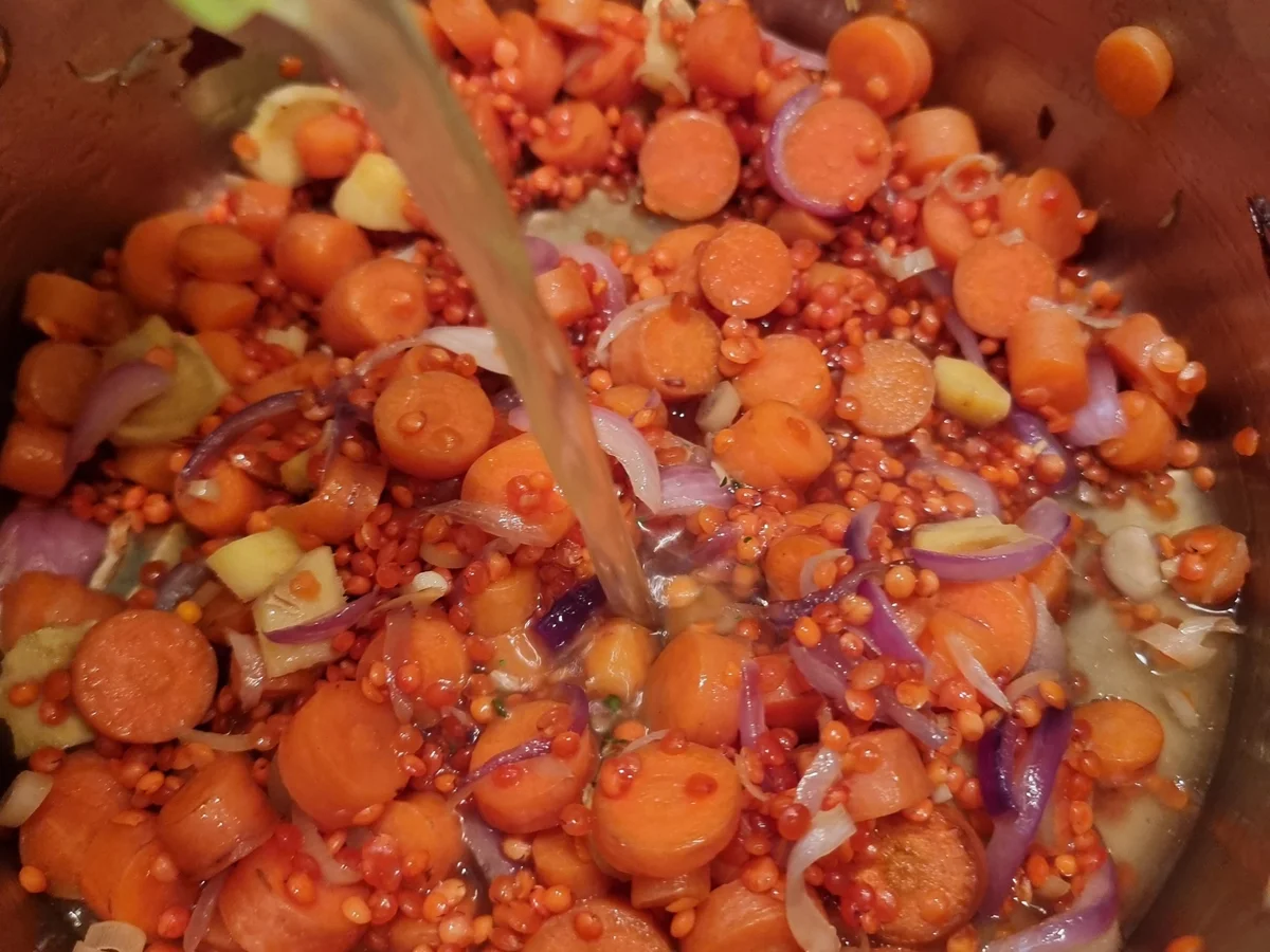 Indische Möhren-Linsen-Suppe - Rezept - Bild Nr. 16527