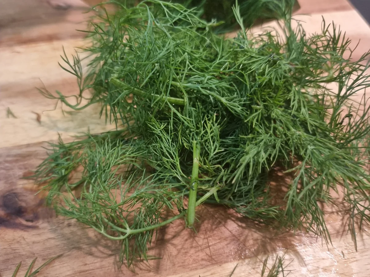 Rezept: Spaghetti mit Spargel-Garnelen-Sauce Bild Nr. 16532 Spaghetti mit Spargel-Garnelen-Sauce - Rezept - Bild Nr. 16532