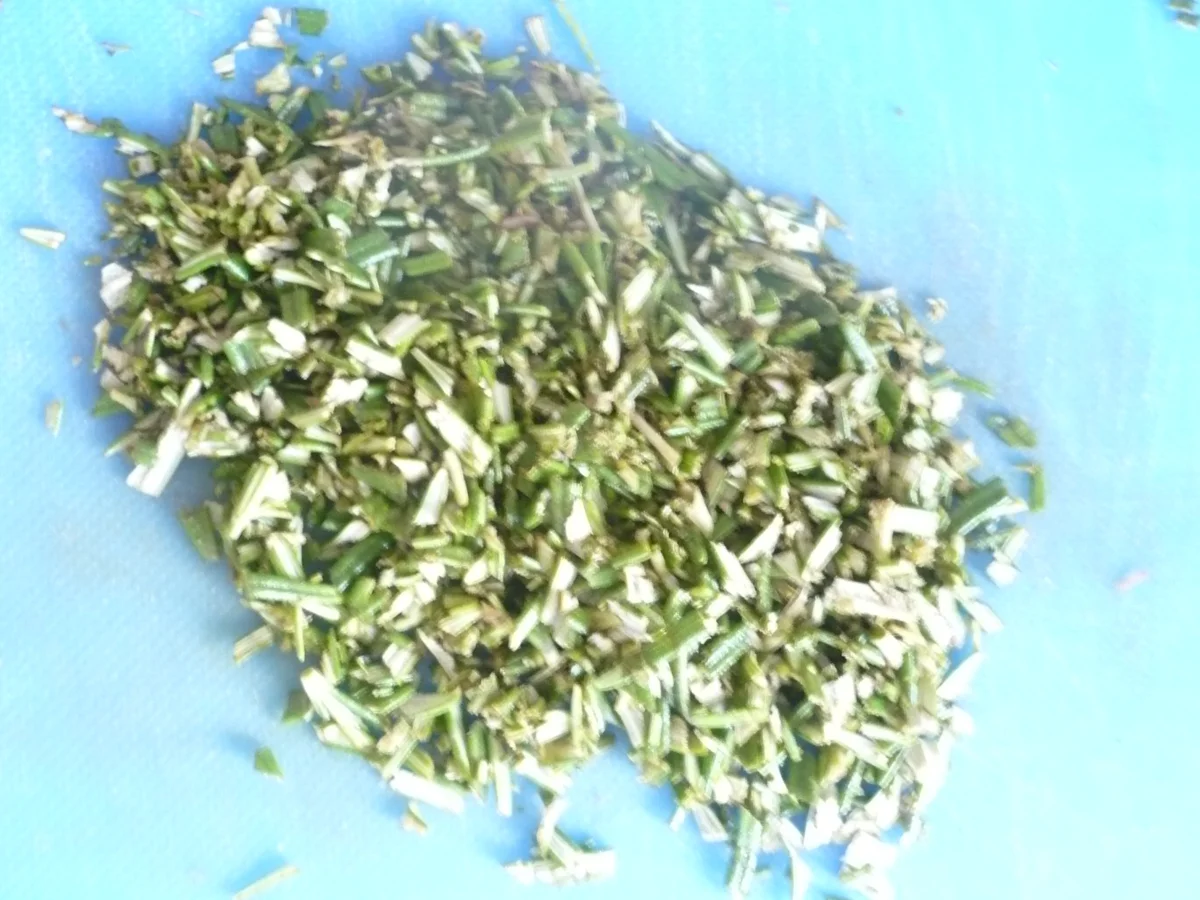 Geschmorte Lammhaxen - Rezept - Bild Nr. 16581