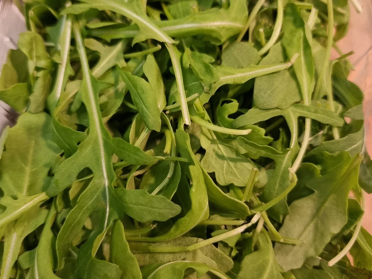 Spaghetti mit Spargel und Rucola-Pesto - Rezept - Bild Nr. 16577