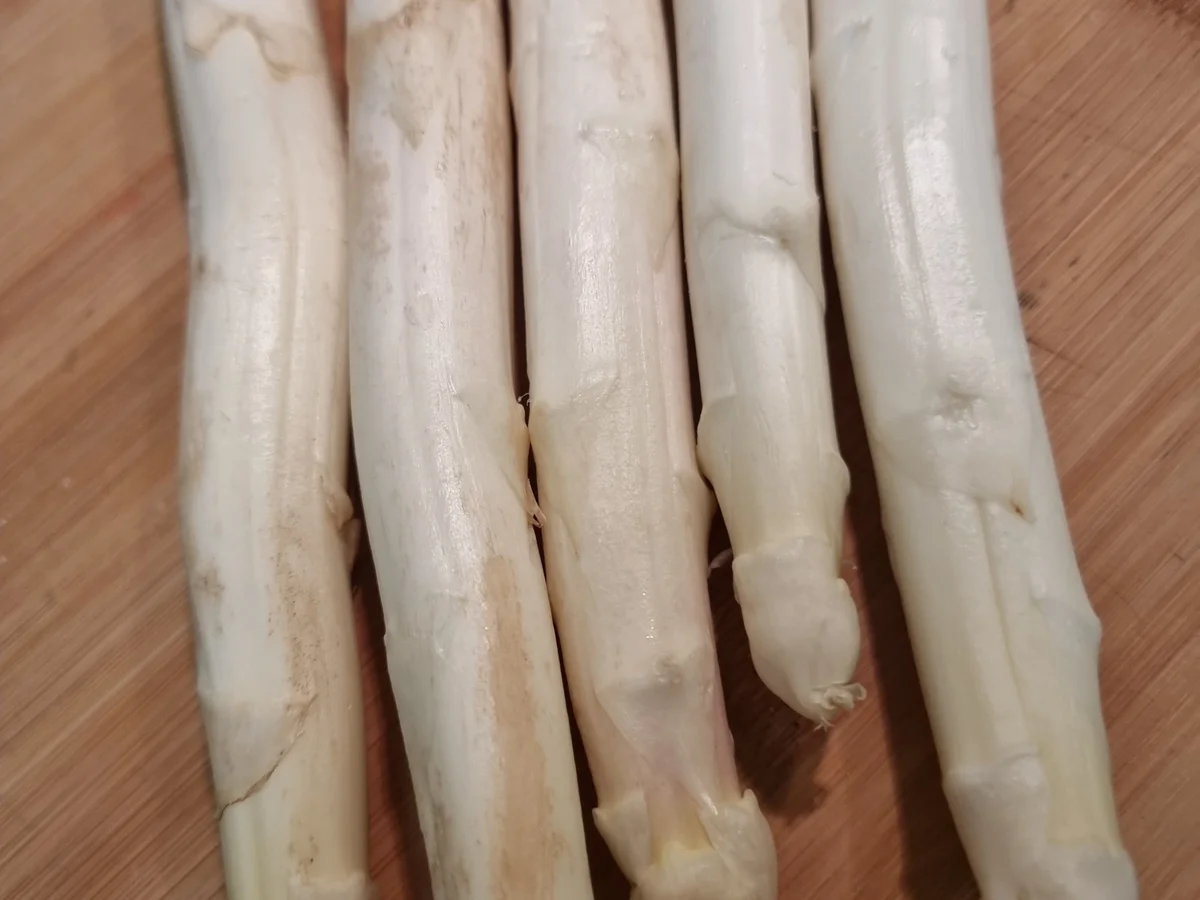 Spaghetti mit Spargel und Rucola-Pesto - Rezept - Bild Nr. 16581