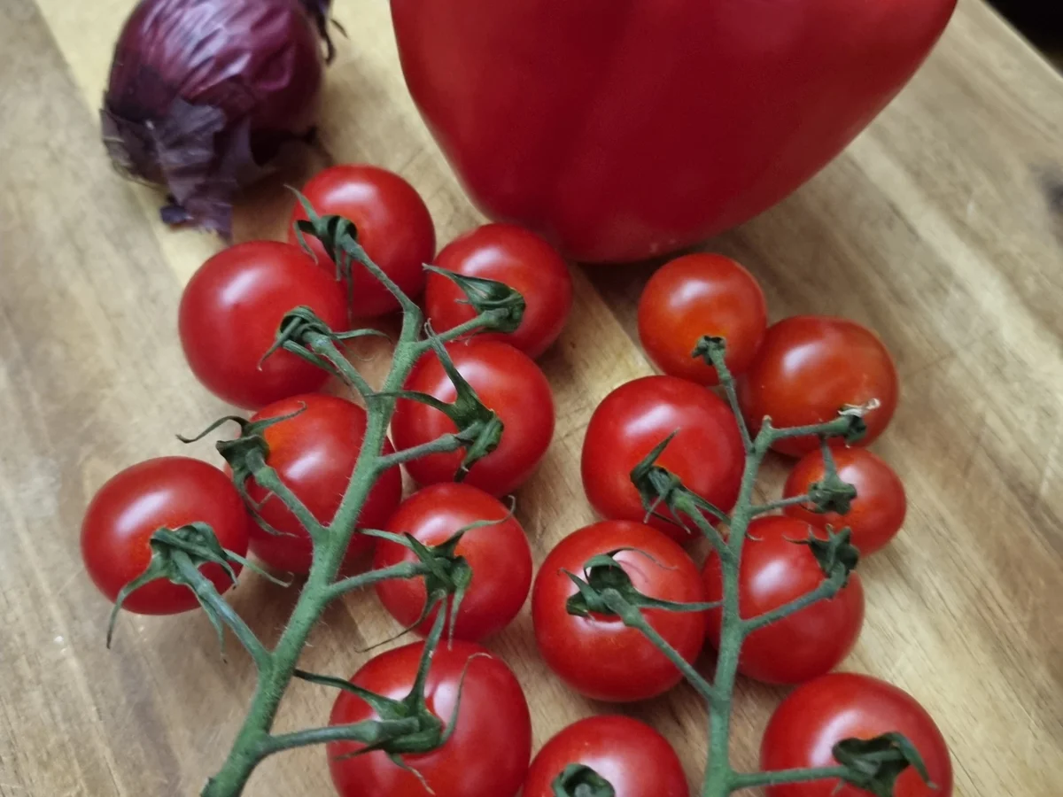Kabeljau auf Rucola- Pesto-Polenta und Paprika-Tomaten-Gemüse - Rezept - Bild Nr. 16577