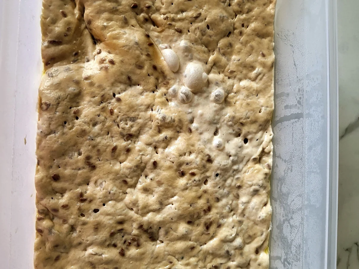 Rezept: Dinkelbrötchen mit Leinsamen Bild Nr. 16578 Dinkelbrötchen mit Leinsamen - Rezept - Bild Nr. 16578