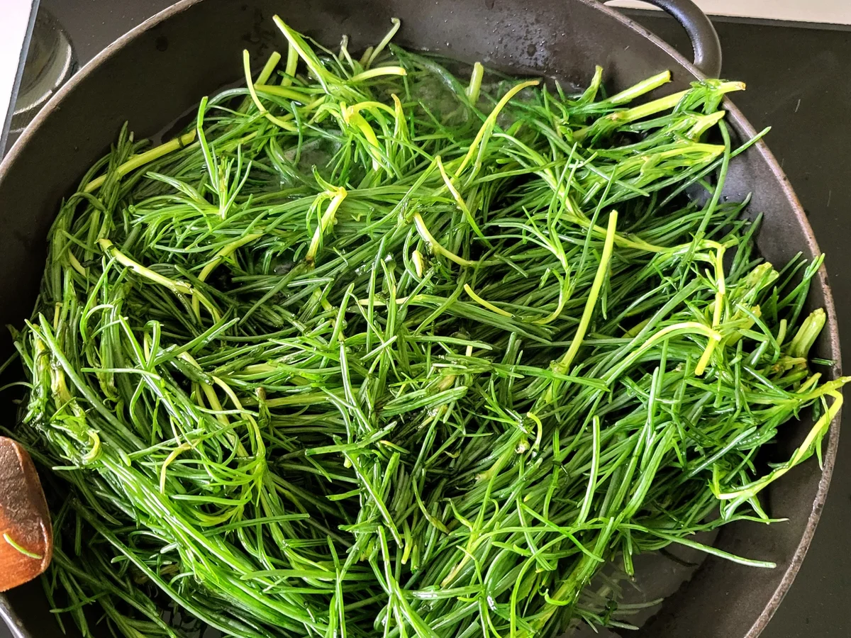 Spaghetti mit Mönchsbart - Rezept - Bild Nr. 16579