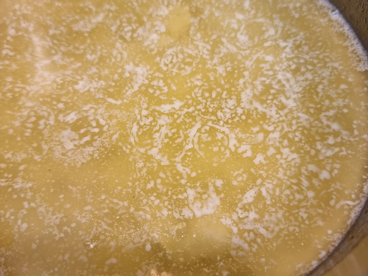 Mini-Cheescakes mit Blaubeeren und Baiserhaube - Rezept - Bild Nr. 16597