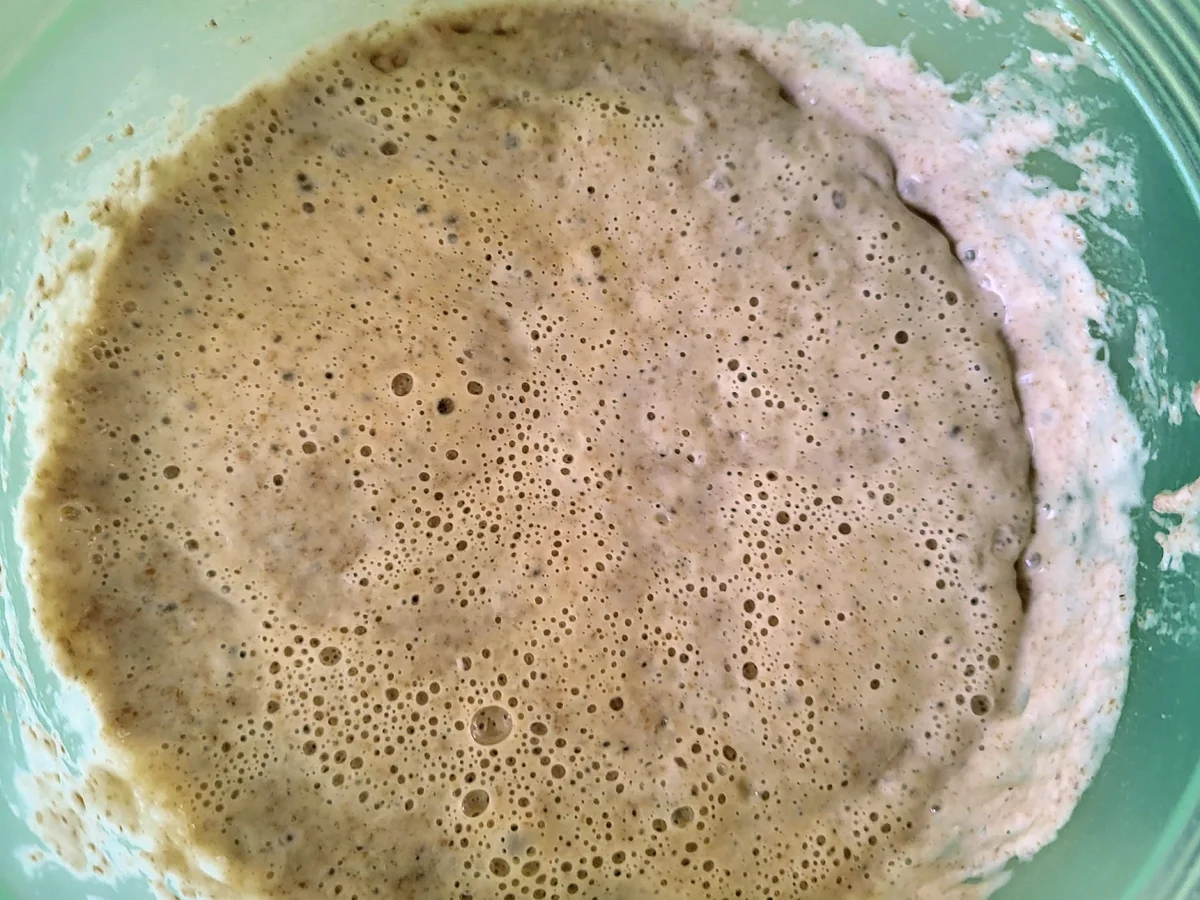 Foccacia mit Bärlauchpesto aus Sauerteig - Rezept - Bild Nr. 16596