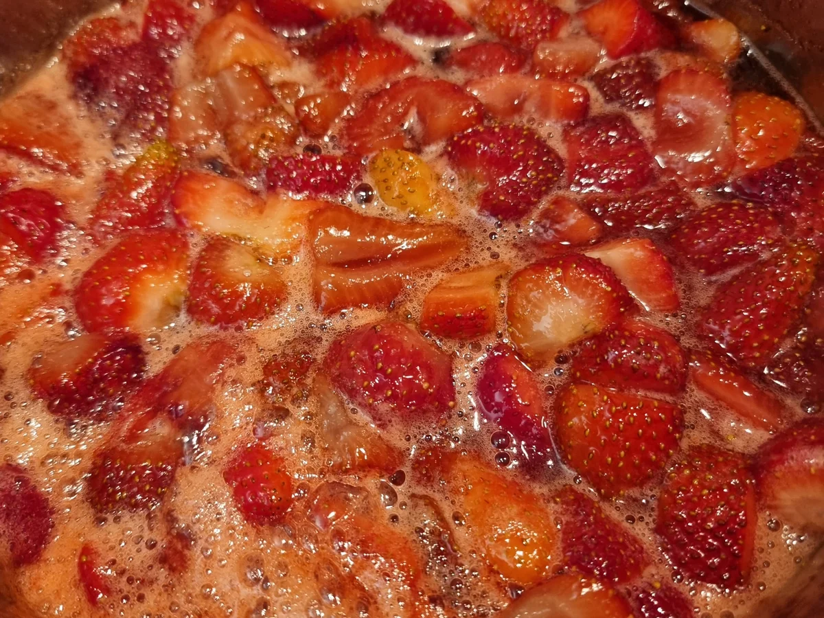 Erdbeer-Holunder-Konfitüre - Rezept - Bild Nr. 16600