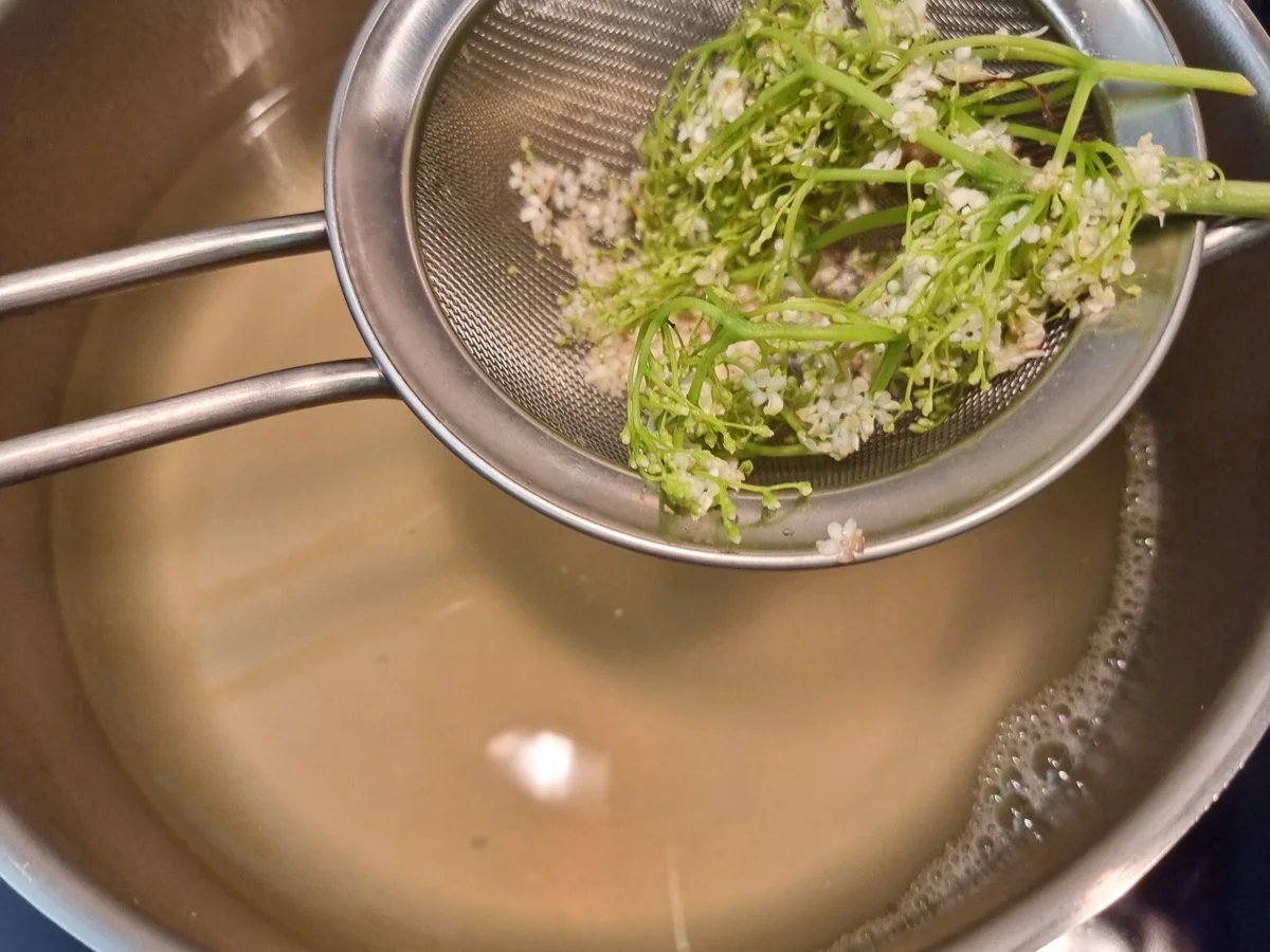 Erdbeer-Holunder-Konfitüre - Rezept - Bild Nr. 16611