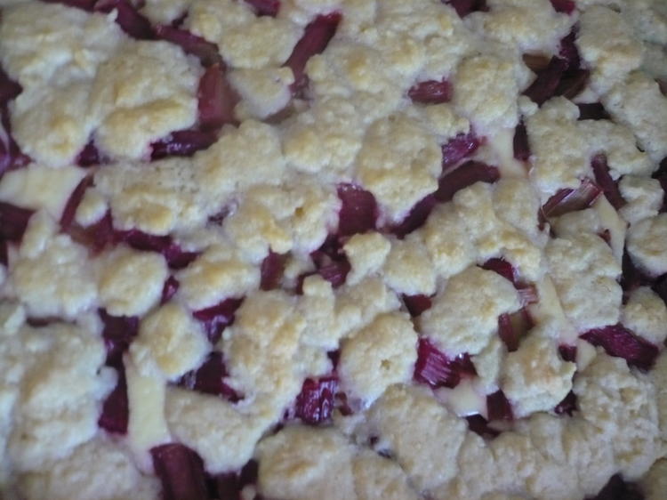 Rhabarberkuchen mit Quark und Streusel - Rezept - kochbar.de