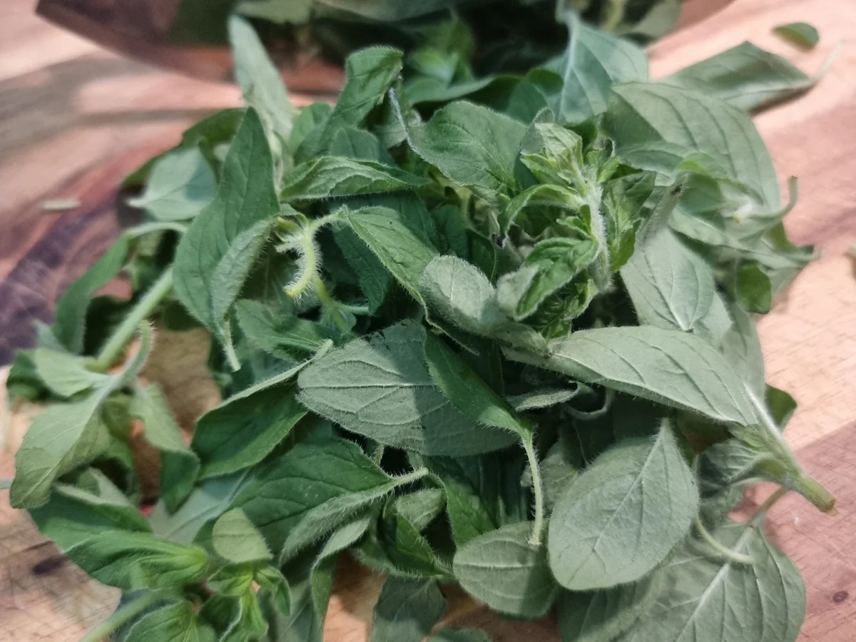 Rezept: Spargel mit Oregano-Brösel Bild Nr. 16598 Spargel mit Oregano-Brösel - Rezept - Bild Nr. 16598