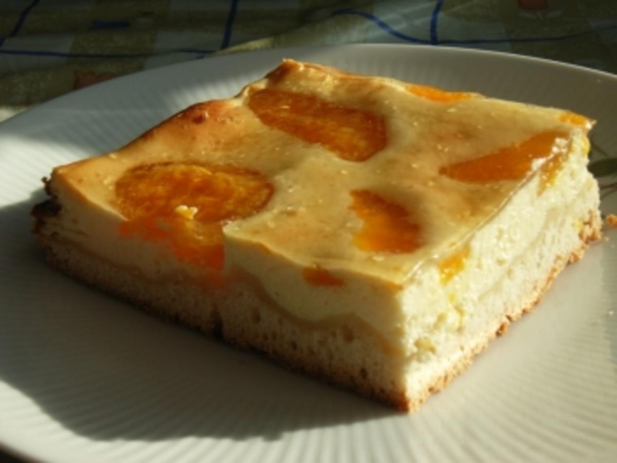 Käse-Mandarinen-Kuchen - Rezept