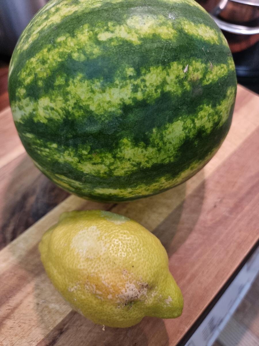 Melonen -Marmelade - Rezept - Bild Nr. 16597