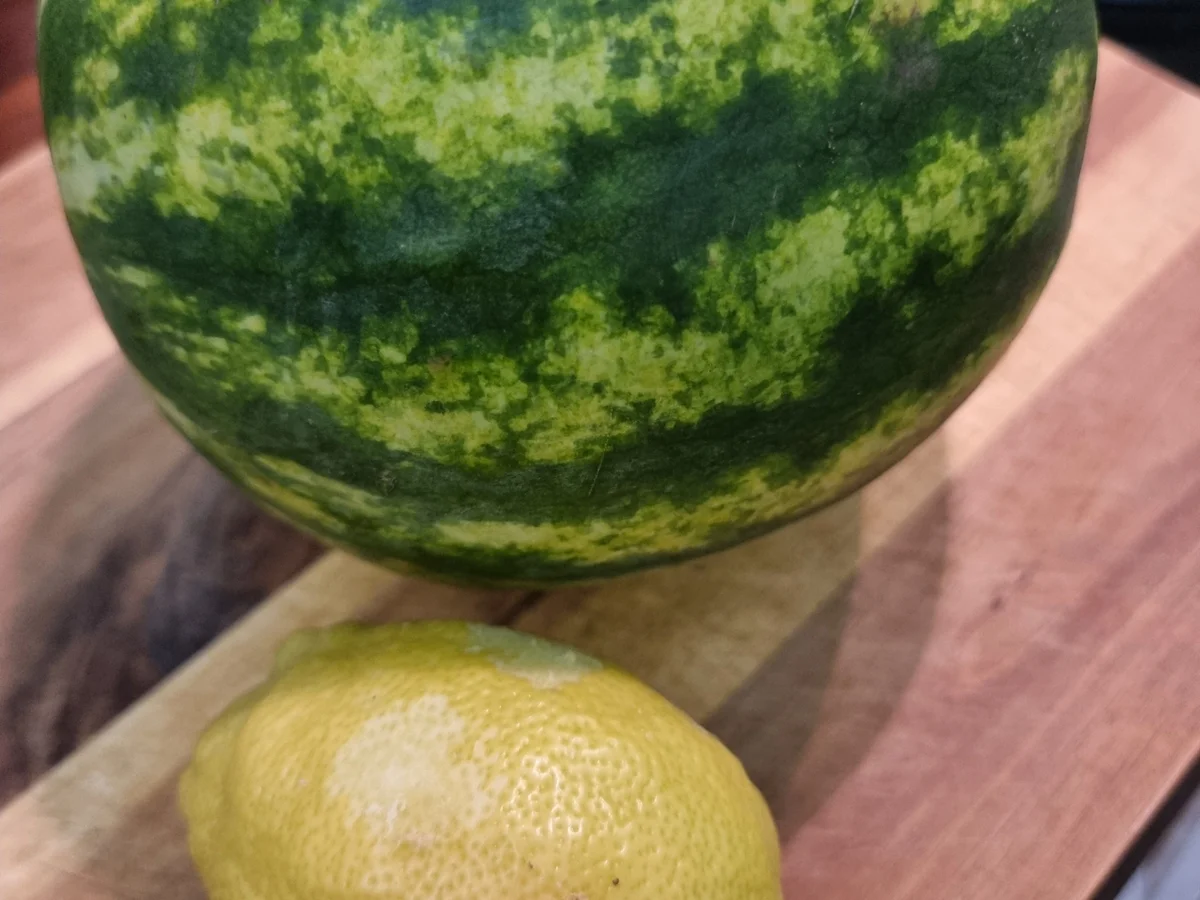 Melonen -Marmelade - Rezept - Bild Nr. 16597