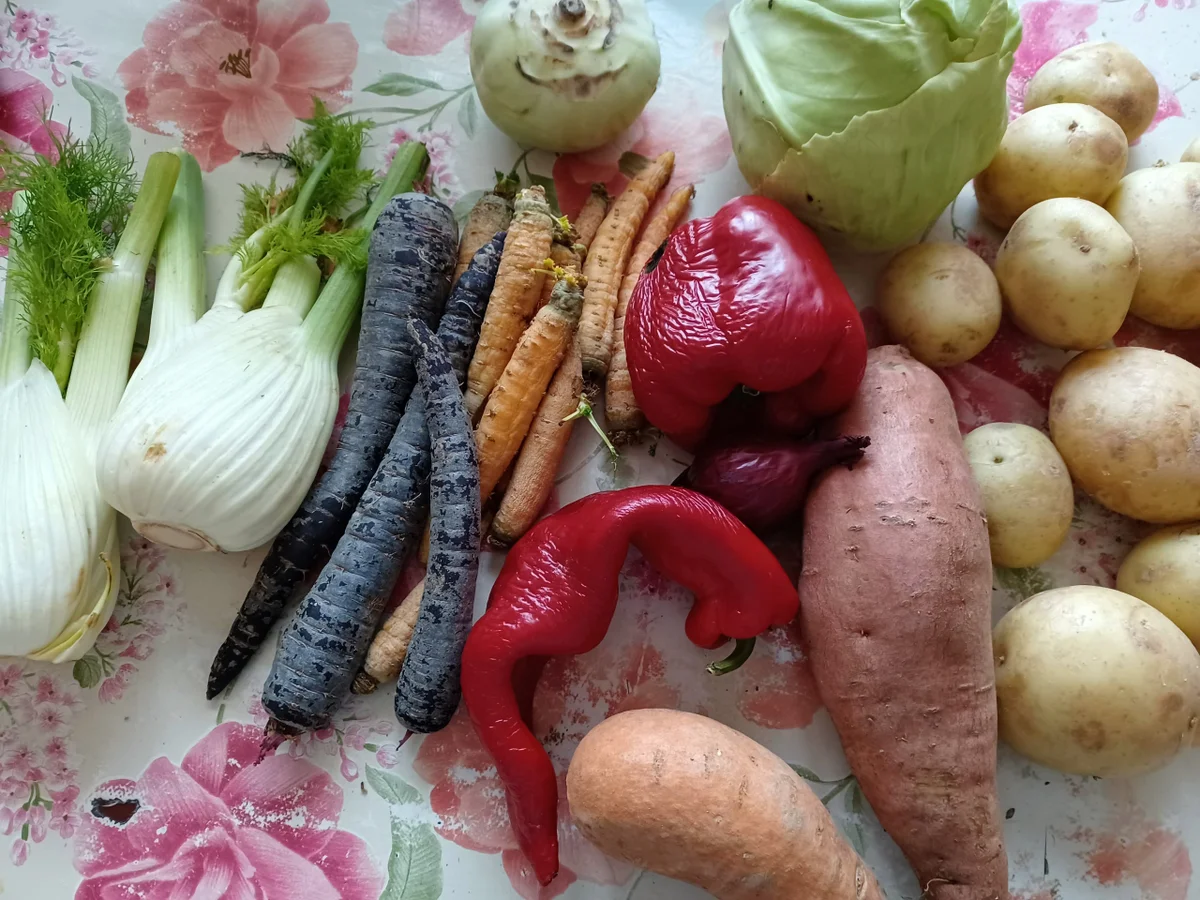 Rezept: Ofengemüse mit Dip Bild Nr. 16598 Ofengemüse mit Dip - Rezept - Bild Nr. 16598