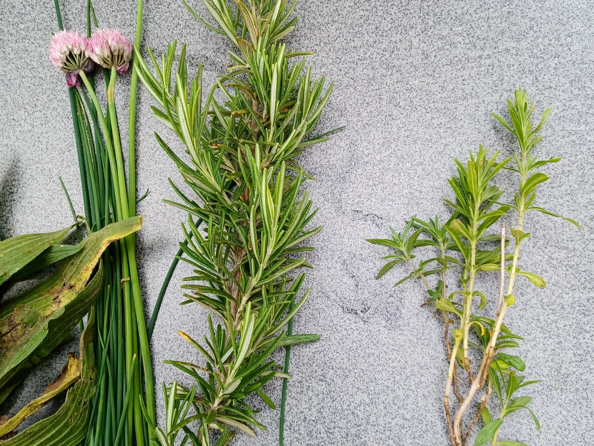 Rezept: Kräuterbutter Bild Nr. 16622 Kräuterbutter - Rezept - Bild Nr. 16622