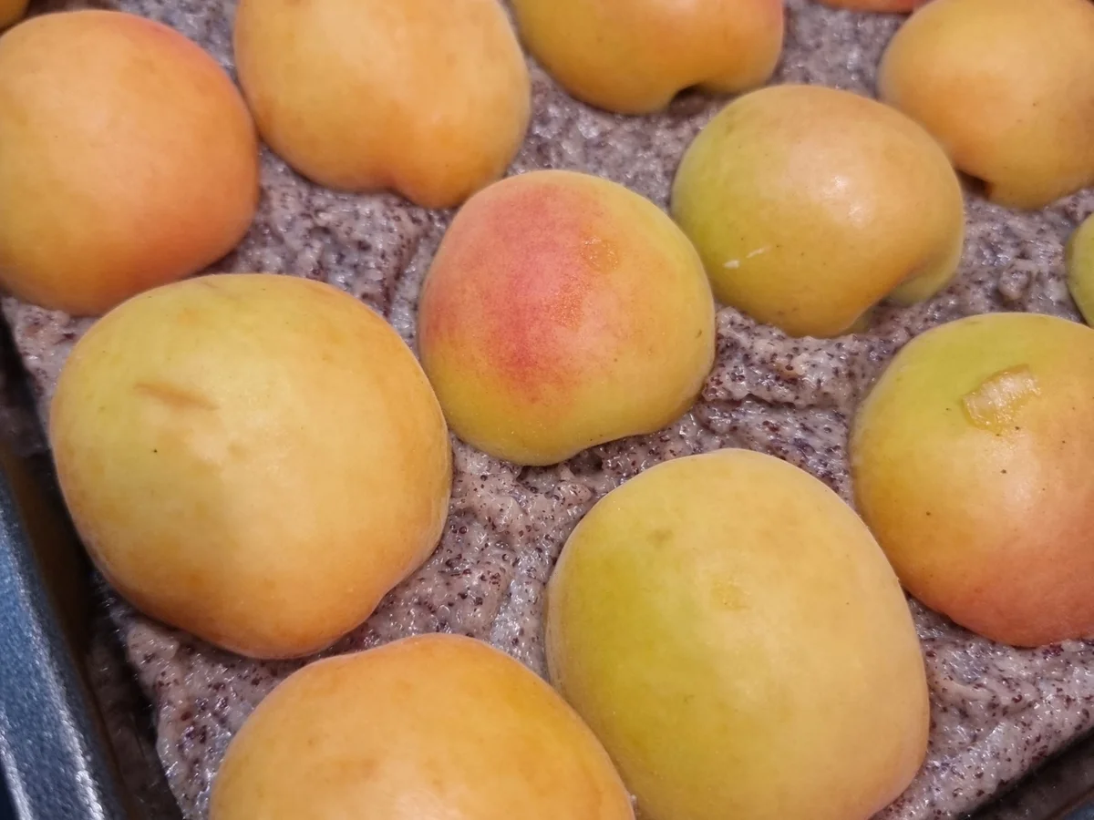 Aprikosen-Mohnkuchen mit Streuseln - Rezept - Bild Nr. 16624