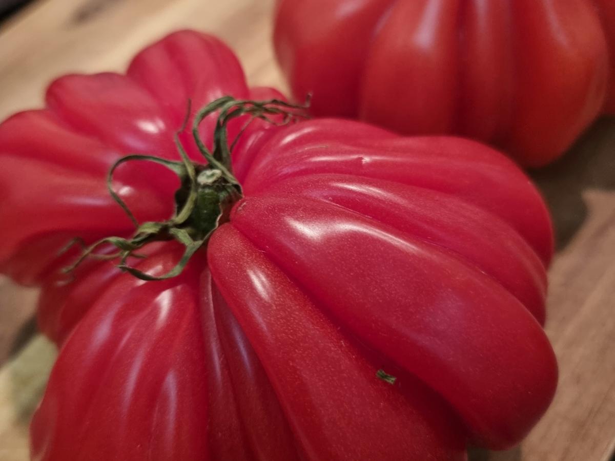 Gefüllte Ochsenherztomaten mit Couscous und Gemüse - einfach - von ...