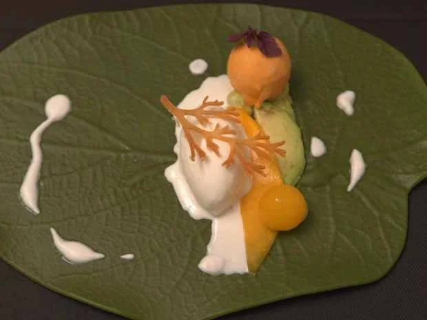 Kokos-Eis mit Avocadocreme und Mango-Grießkugel - Rezept - Bild Nr. 16619