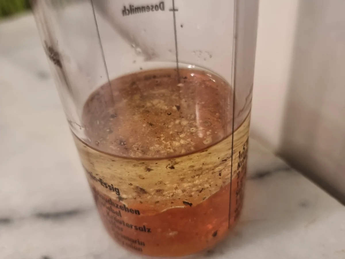 Maultaschensalat mit Rucola ,Mozzarella und Apfelspalten - Rezept - Bild Nr. 16625