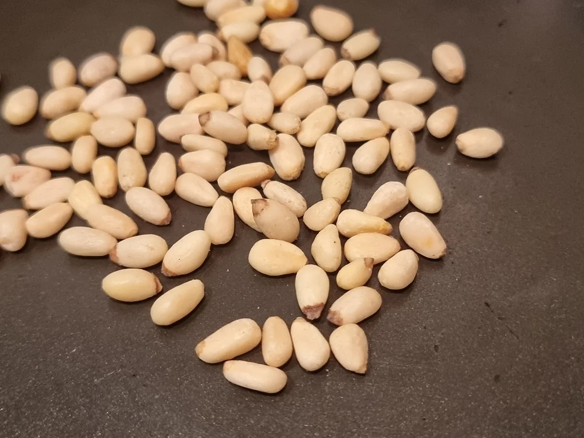 Sommer-Spaghetti - Rezept - Bild Nr. 16626