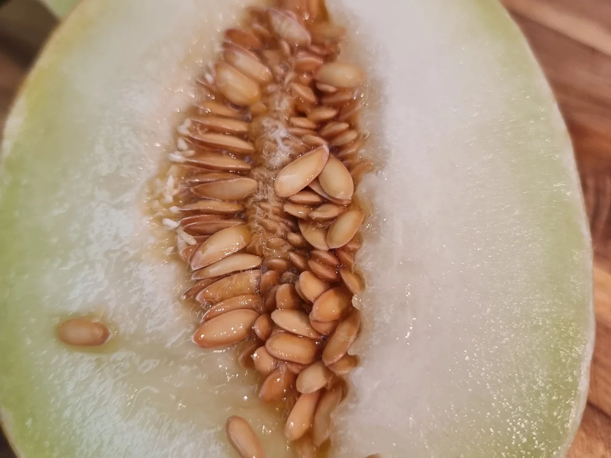 Sommer-Spaghetti - Rezept - Bild Nr. 16634