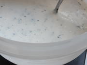 Leichtes Joghurt-Salatdressing - Rezept - Bild Nr. 2