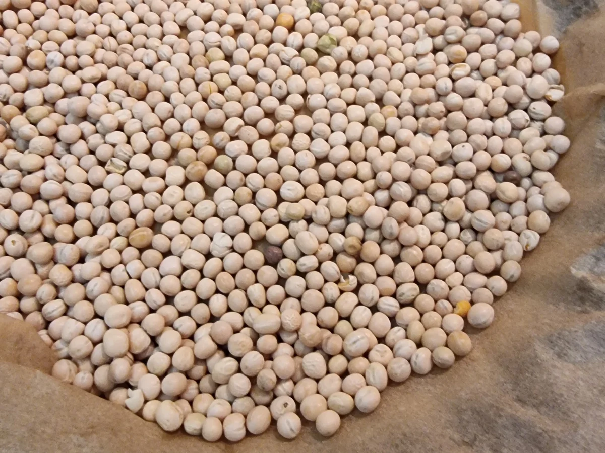 Quark-Heidelbeer-Tarte - Rezept - Bild Nr. 16639