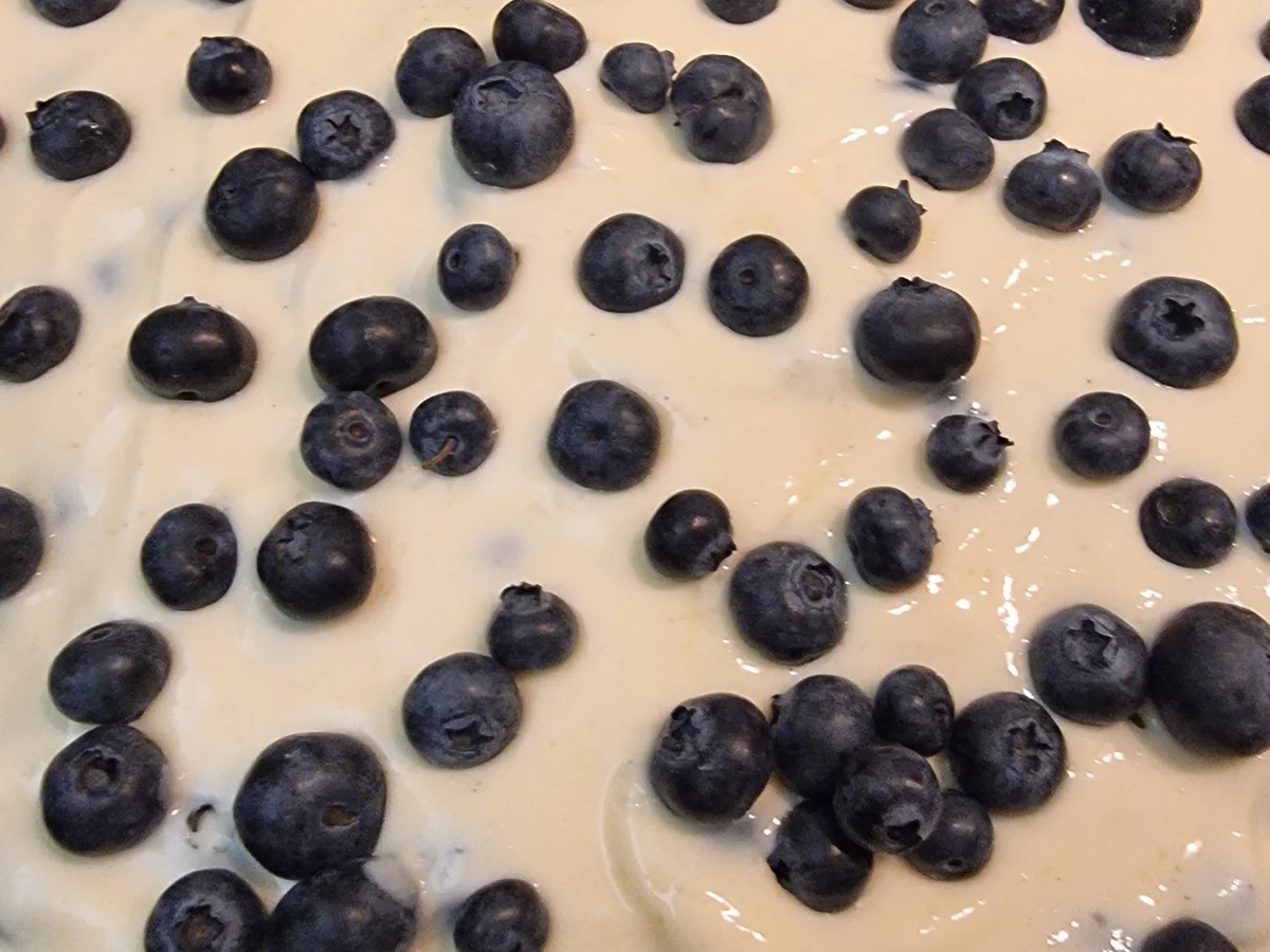 Quark-Heidelbeer-Tarte - Rezept - Bild Nr. 16647