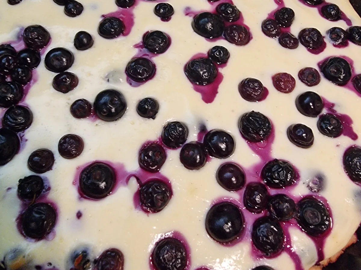 Quark-Heidelbeer-Tarte - Rezept - Bild Nr. 16643