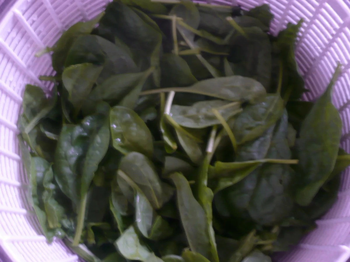 Nudeln mit Champignon - Spinat-Sauce - Rezept - Bild Nr. 4