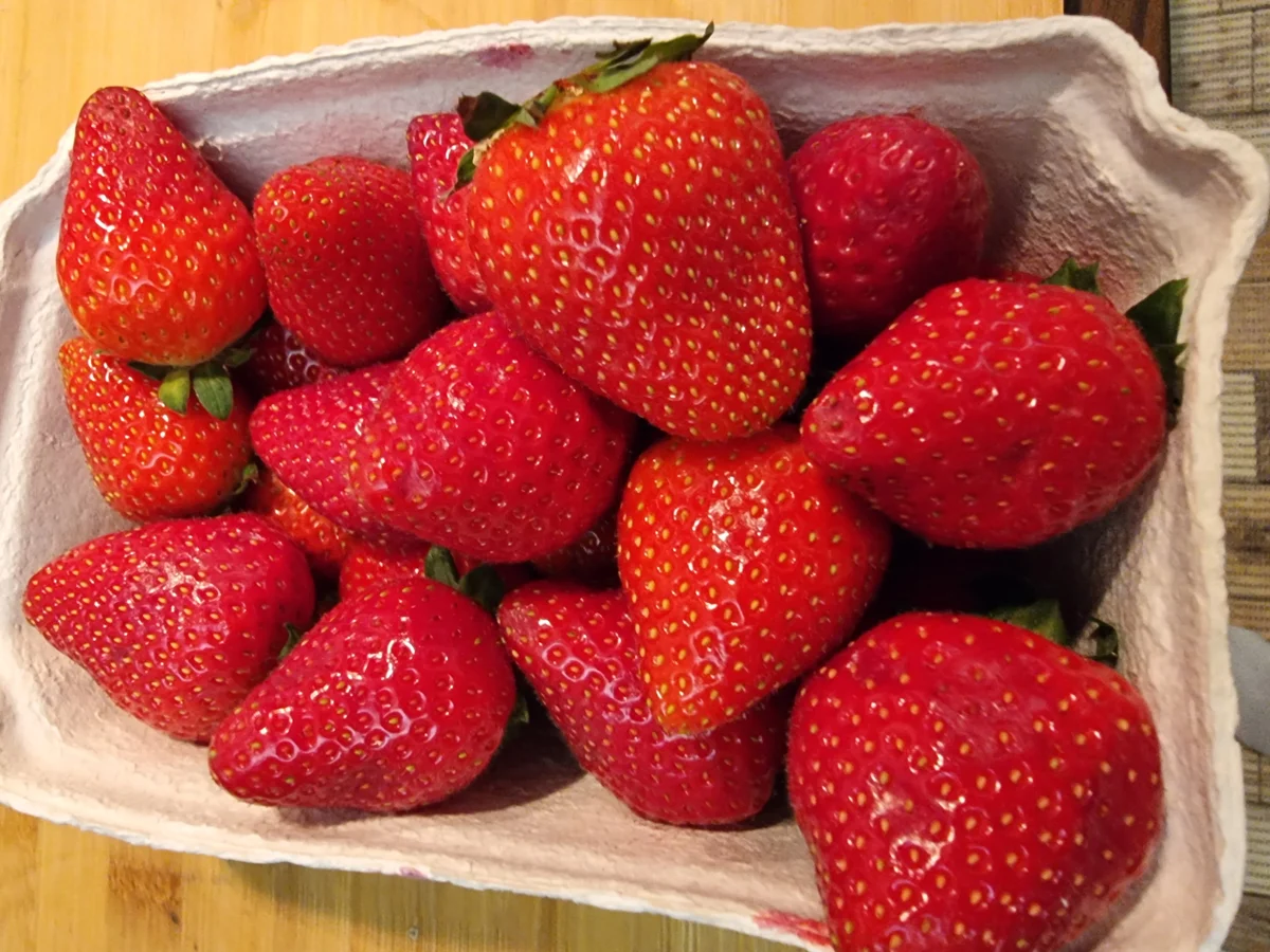 Erdbeer-Käsekuchen - Rezept - Bild Nr. 16660