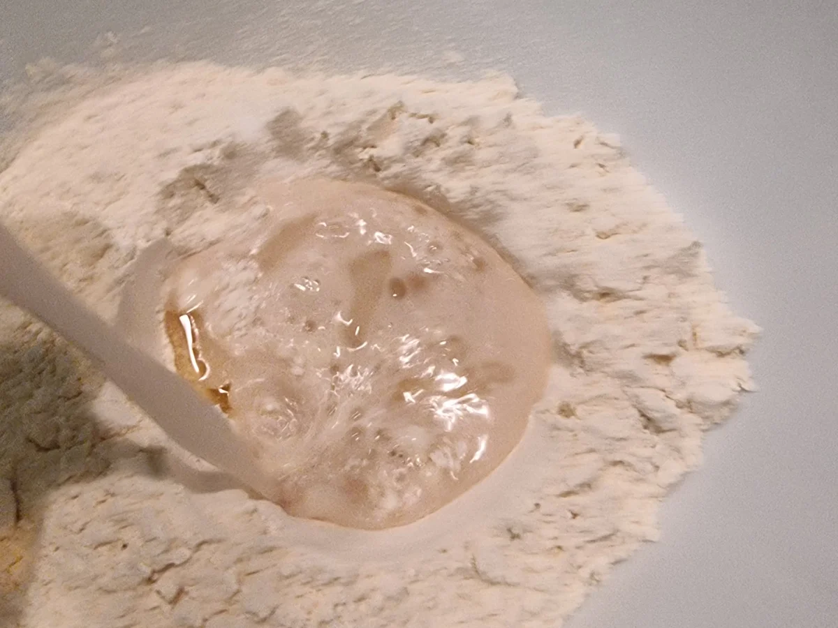 Rezept: Pizza Bianca Bild Nr. 16656 Pizza Bianca - Rezept - Bild Nr. 16656